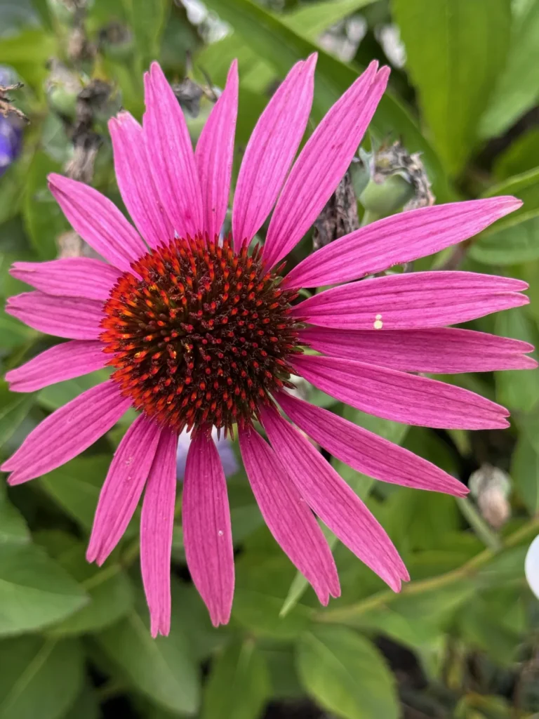 Natur als Kraftquelle